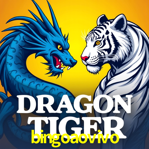 Experiência VIP bingoaovivo