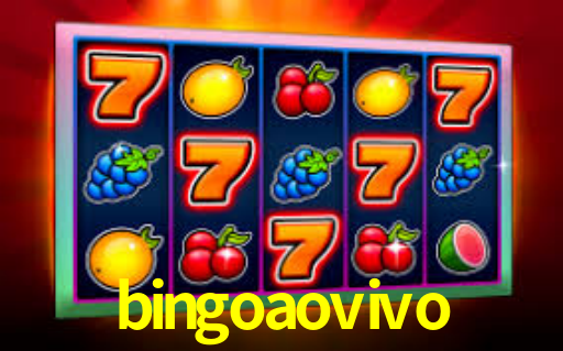 bingo ao vivo login
