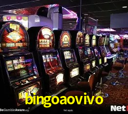 Ofertas Exclusivas bingoaovivo