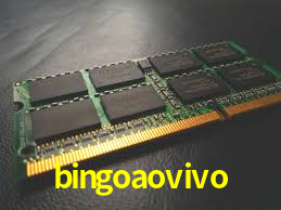bingoaovivo,bingoaovivo net