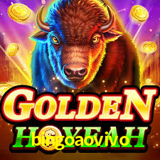 bingoaovivo,bingoaovivo net