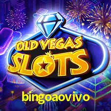 bingoaovivo net