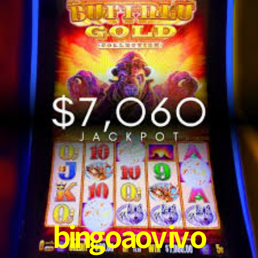 bingoaovivo