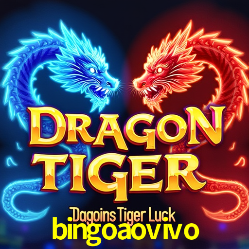 Interface do App bingoaovivo