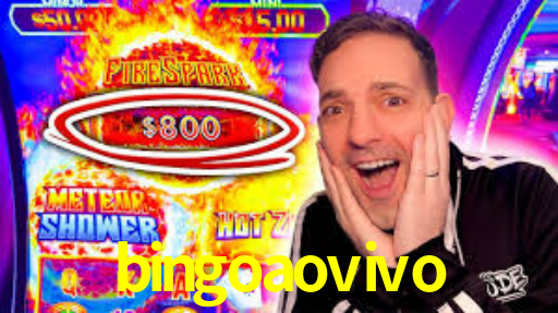 bingoaovivo,bingoaovivo net